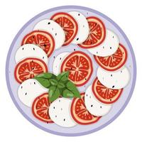 caprese ensalada. vector ilustración en un blanco antecedentes.