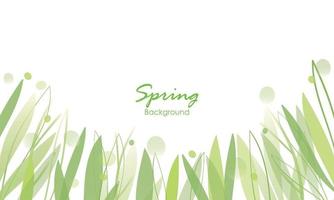 spring leaves background vector