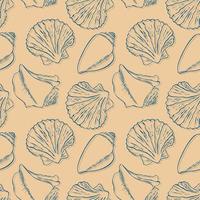 Pattern with Seashells hand drawn doodle, blue and beige colors. Summer background. vector