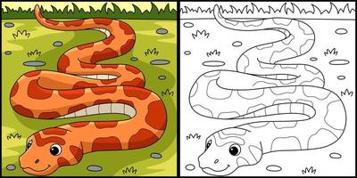 maíz serpiente animal colorante página ilustración vector