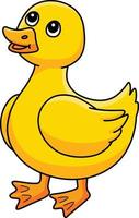 Spring Duckling Cartoon Colored Clipart vector