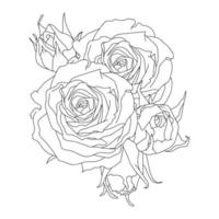 Composition Of Roses Line Art Illustration vector