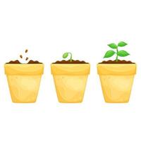 a set of bright vector illustrations of a pot with seedlings, planting plants, indoor plants and a vegetable garden