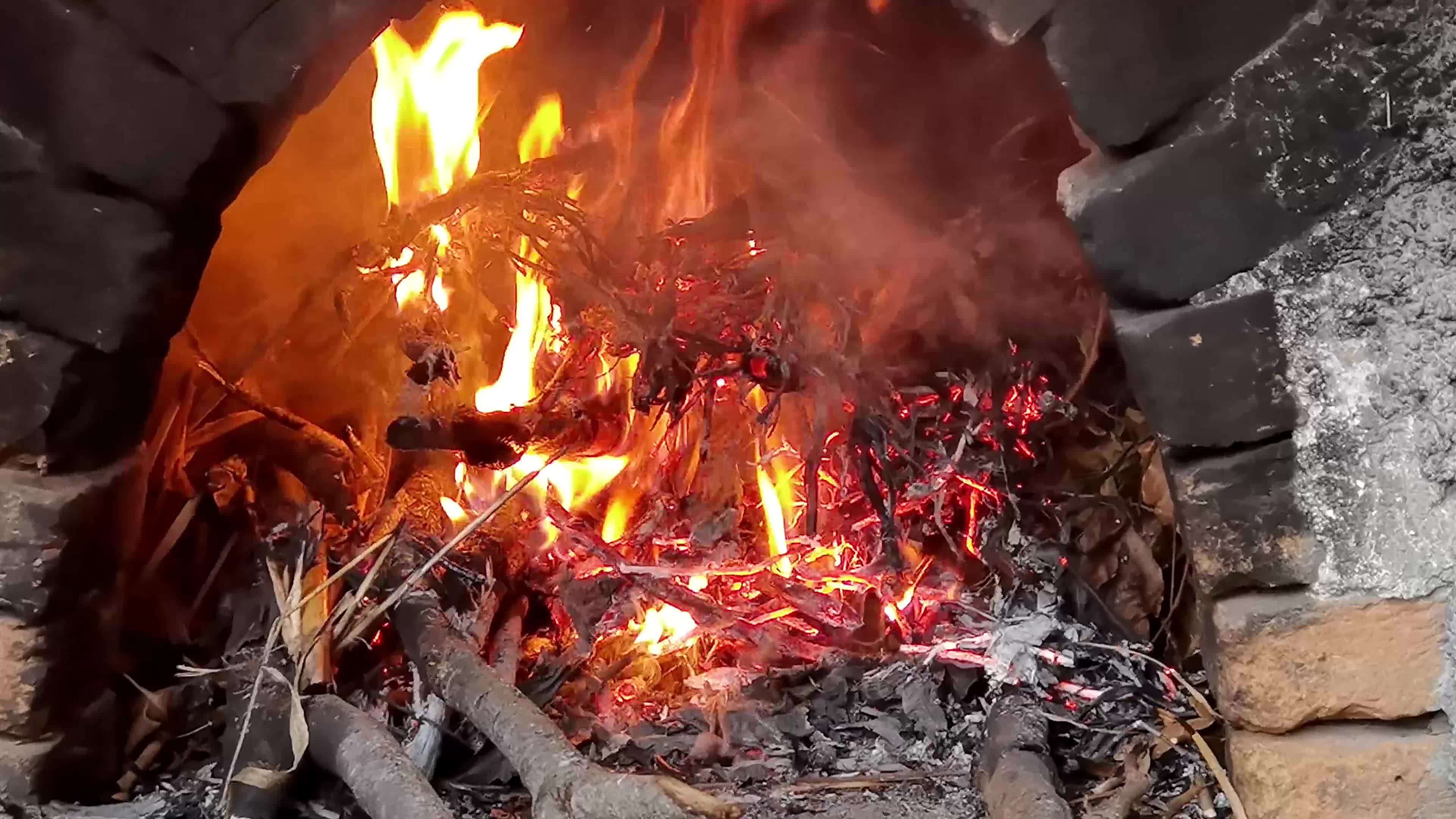 beautiful effect of the fire that burns the wood logs inside a wood
