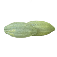 cacao fruit transparant png