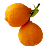 Frais Orange transparent png