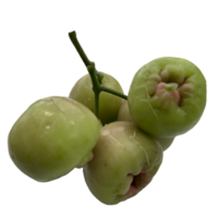 Water Apple Transparent png