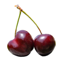 körsbär färsk frukt transparent png