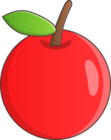 cherry fruit with object isolated png