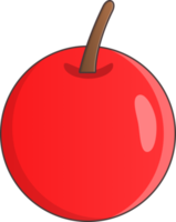 körsbär frukt med gren png