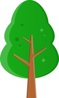 soltero verde pino árbol plano objeto png