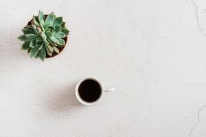 Cup of coffee and succulent on a light background. Home workplace and break. Eco lifestyle. Copy space photo