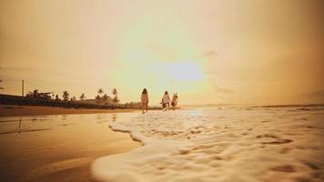 en grupp av asiatisk tonåringar i shirts gående runt om de vågor av de strand sand med deras vänner video