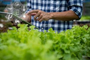 agricultores utilizar el principal datos red en el Internet, agrícola tecnología, trabajo en cosecha datos análisis por tableta ,tecnología para plantación datos enlace con Internet hacer un bueno planta orgánico producto. foto