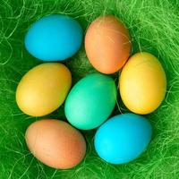 traditional painted Easter eggs in green grass. bright spring background. the view from the top photo