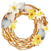 Easter eggs wreath watercolor with daffodils flower png