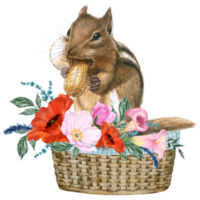 Spring floral watercolor with cute squirrel animal png