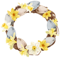 Easter eggs wreath watercolor with daffodils flower png