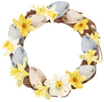 Pasqua uova ghirlanda acquerello con giunchiglie fiore png