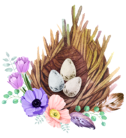 Vogelhaus mit Frühling Blume Aquarell png