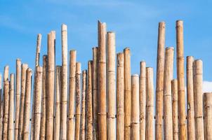 beautiful Bamboo Fence with blue sky photo