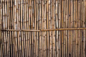 bamboo fence for background photo