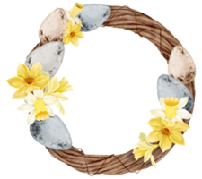 Easter eggs wreath watercolor with daffodils flower png