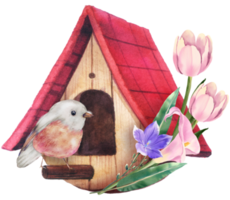 birdhouse con primavera fiore acquerello png