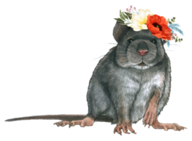 Spring floral watercolor with cute rat animal png