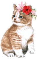 Spring floral watercolor with cute cat animal png