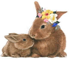 Spring floral watercolor with cute bunny animal png