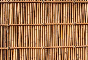 bamboo fence background photo