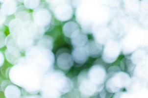 Abstract nature green and white bokeh from tree background,for background photo