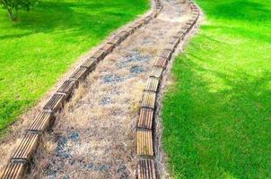 pasarela curva en césped a jardín, un camino, pasarela desde el parque foto