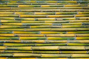 Bamboo fence background photo