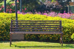 Lonely metal Decorative bench in the flower garden photo