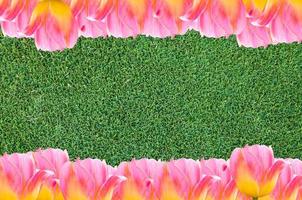 Tulips, frame  Fresh spring tulips flowers with space for text  on grass background photo