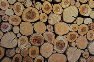 Wood circles pattern of cutted tree trunks. The round pieces are of different sizes. Abstract background,Wood cross slice photo