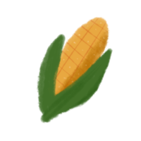 linda maíz acuarela png