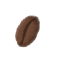 caffè fagiolo acquerello png