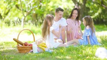 família feliz em um piquenique no parque em um dia ensolarado video