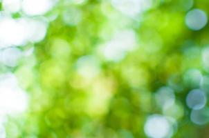 Abstract nature green bokeh from tree background,for background photo