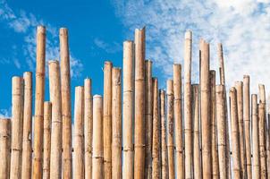 beautiful Bamboo Fence with blue sky photo