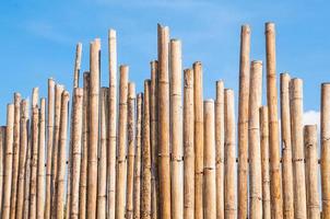 beautiful Bamboo Fence with blue sky photo