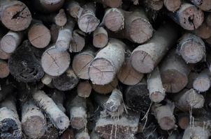 old stack of firewood,Natural wooden background, Firewood stacked and prepared for winter Pile of wood logs Trunks of trees cut photo