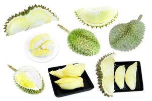 colección durian, el rey de las frutas aisladas en fondo blanco, durian es una fruta maloliente foto