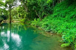 Emerald lagoon in a wild scenic forest.amazing full color lake in the ancient ecosystem photo