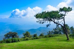 Wide panorama from tourist lookout mountain ranges and hills covered by evergreen cold rain-forests mountain range at the west of thailand photo