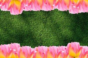 Tulips, frame  Fresh spring tulips flowers with space for text  on grass background photo