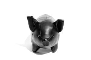 Closeup cute black pig doll on white background photo